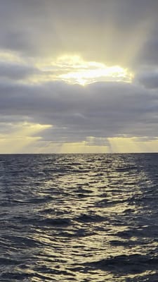 20251229_060251.mp4