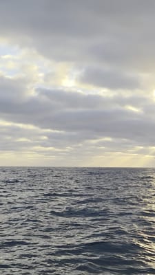 20251229_060926.mp4