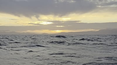 20251229_203224.mp4