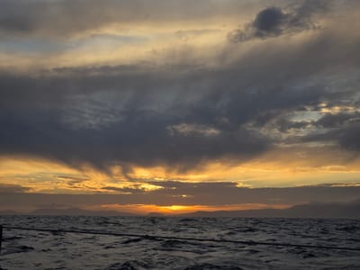 20251229_203351.jpg