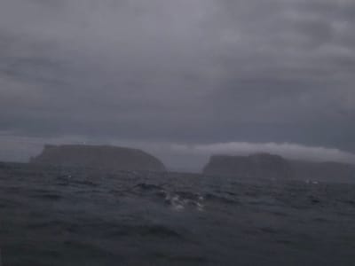 20251230_045739.jpg