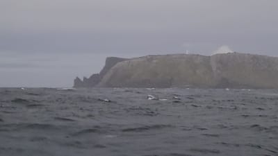 20251230_050749.mp4