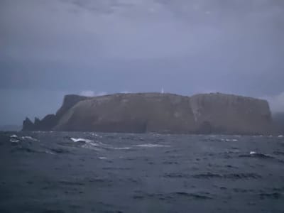 20251230_050838.jpg