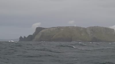20251230_051010.mp4