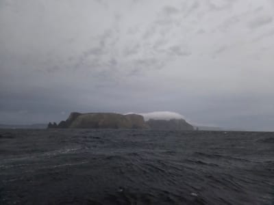 20251230_051324.jpg