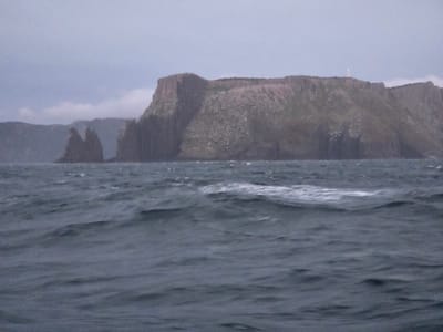 20251230_051744.jpg