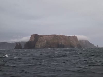 20251230_051751.jpg