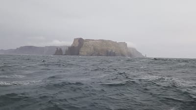 20251230_051827.mp4
