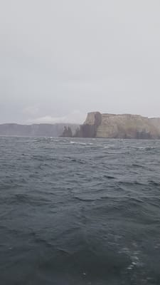 20251230_051907.mp4