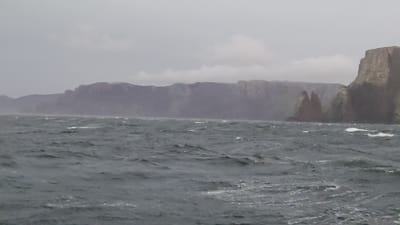 20251230_051940.mp4
