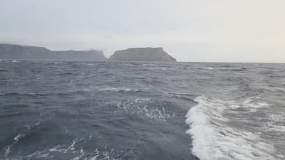 20251230_053057.mp4