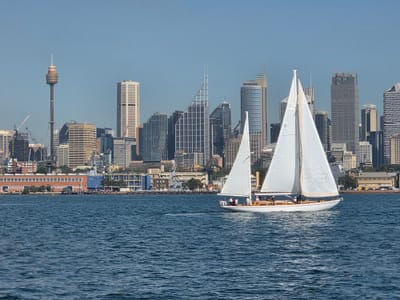 20250404_104746.jpg