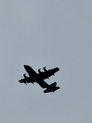 20250627_112229.jpg