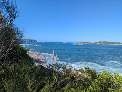PXL_20250418_042106263.jpg
