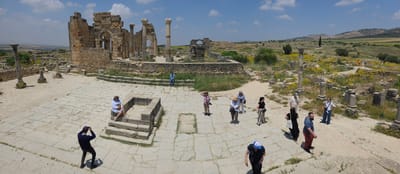 20250523_133416.jpg