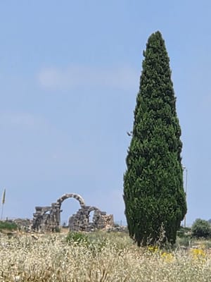 20250523_133949.jpg