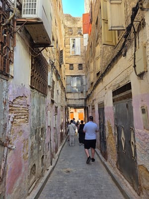 20250524_094835.jpg