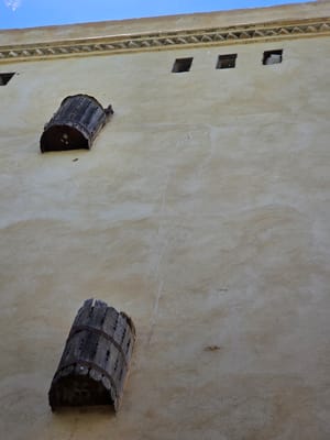 20250524_131241.jpg