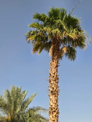 20250525_174000.jpg