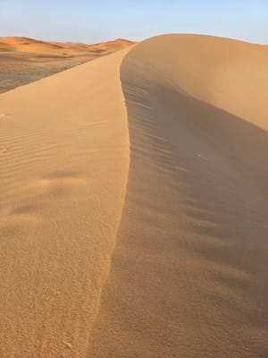 20250525_191438.jpg