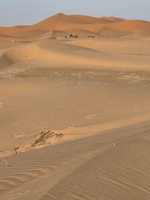 20250525_191655.jpg