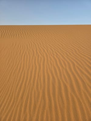 20250525_192717.jpg