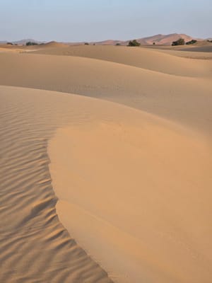 20250525_192923.jpg