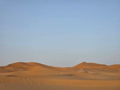 20250525_192946.jpg