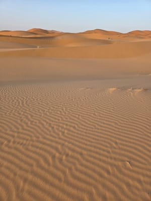20250525_193245.jpg
