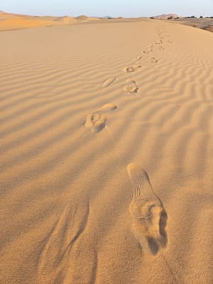 20250525_193411.jpg