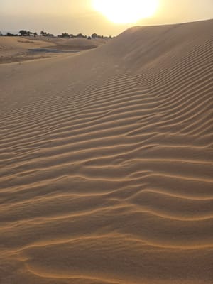 20250525_193609.jpg