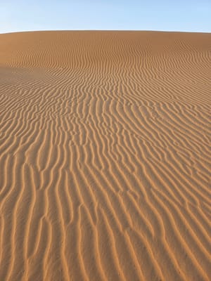 20250525_193653.jpg