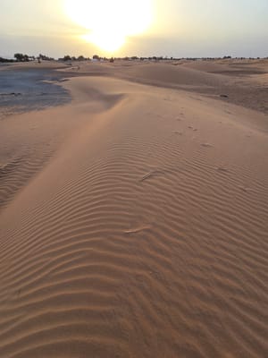 20250525_194244.jpg