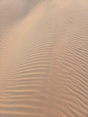 20250525_194431.jpg