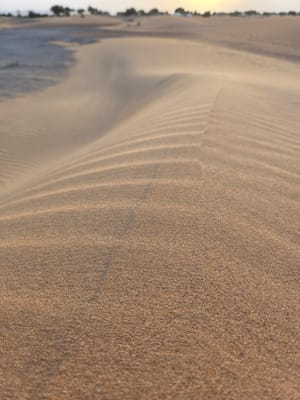 20250525_194501.jpg