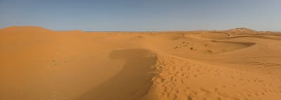 20250526_093150.jpg