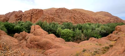 20250527_094245.jpg