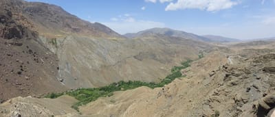 20250528_133047.jpg