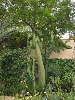 20250529_154248.jpg