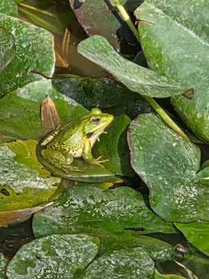 20250530_094455.jpg