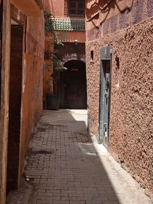 20250530_125630.jpg