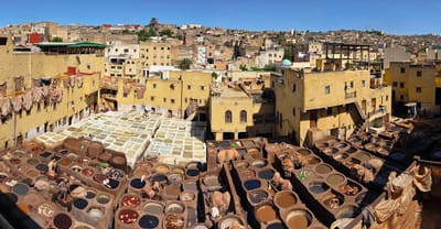 Fez Leather Tanning.jpg