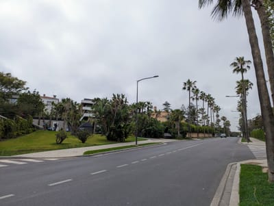 PXL_20250522_102018540.jpg