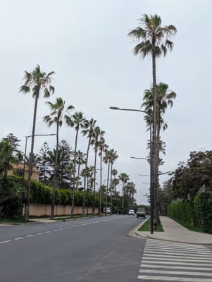 PXL_20250522_102032998.jpg