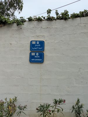 PXL_20250522_102653325.MP.jpg