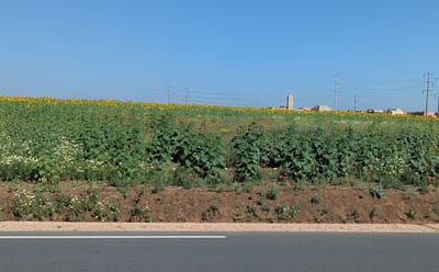 PXL_20250523_094330901.jpg