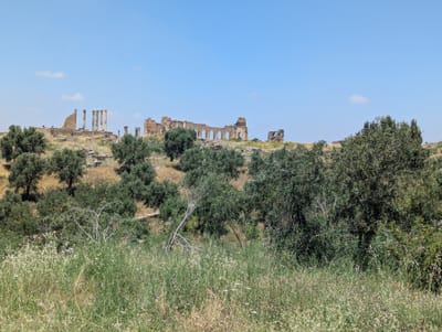 PXL_20250523_114519535.jpg