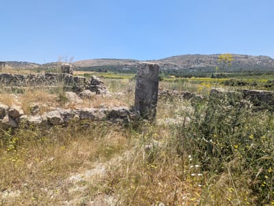 PXL_20250523_114914917.jpg