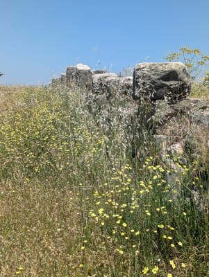 PXL_20250523_115311309.MP.jpg