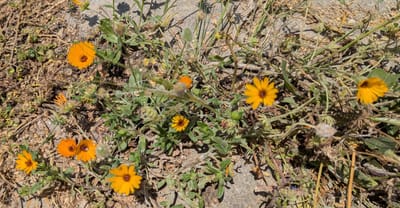 PXL_20250523_120320977.jpg